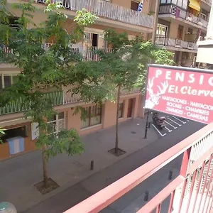 El Ciervo Guest house